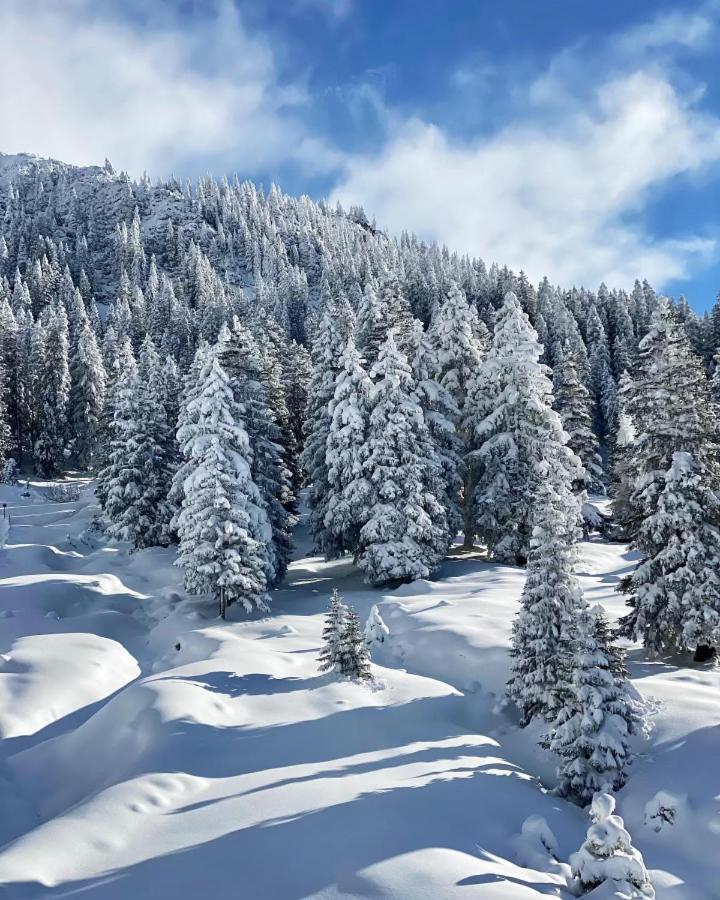 Hotel Haus Tirol Ehrwald Exteriér fotografie